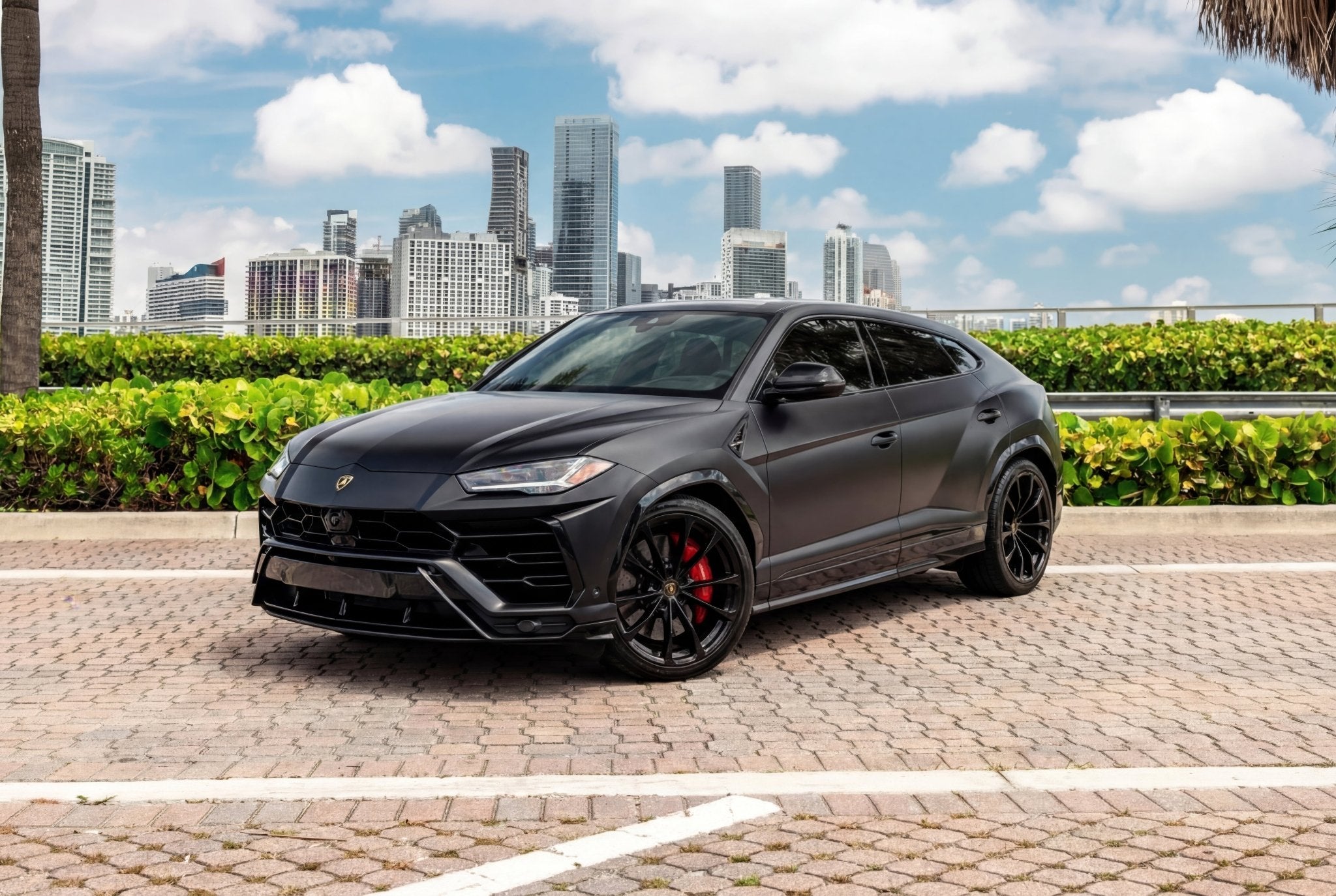 Lamborghini Urus - Ark Exotics