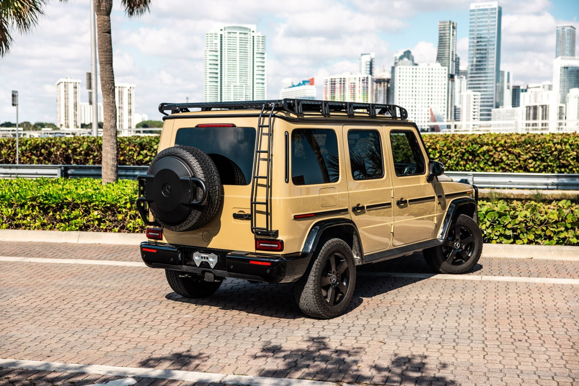 Mercedes G - Wagon Professional Package - Ark Exotics