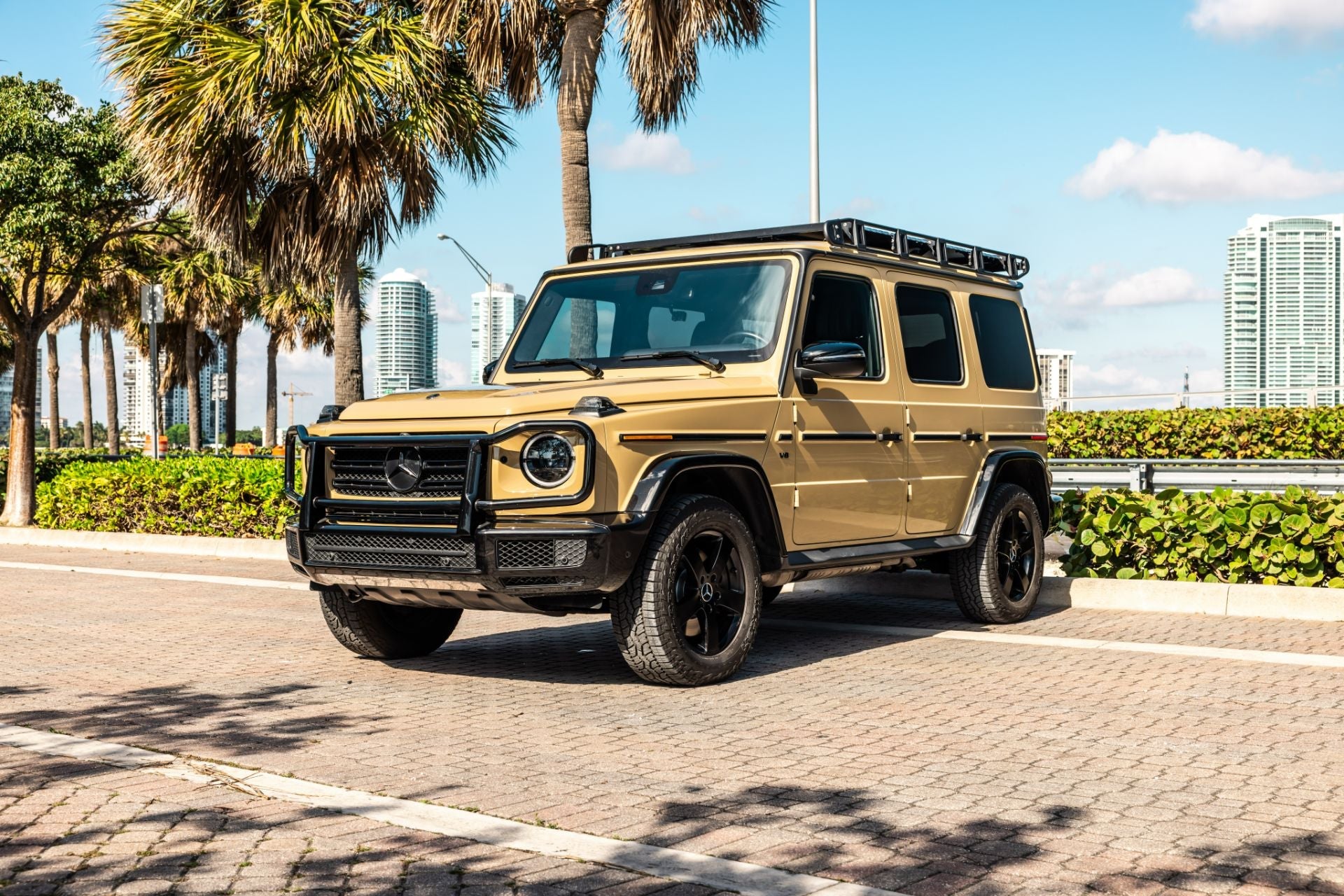 Mercedes G - Wagon Professional Package - Ark Exotics