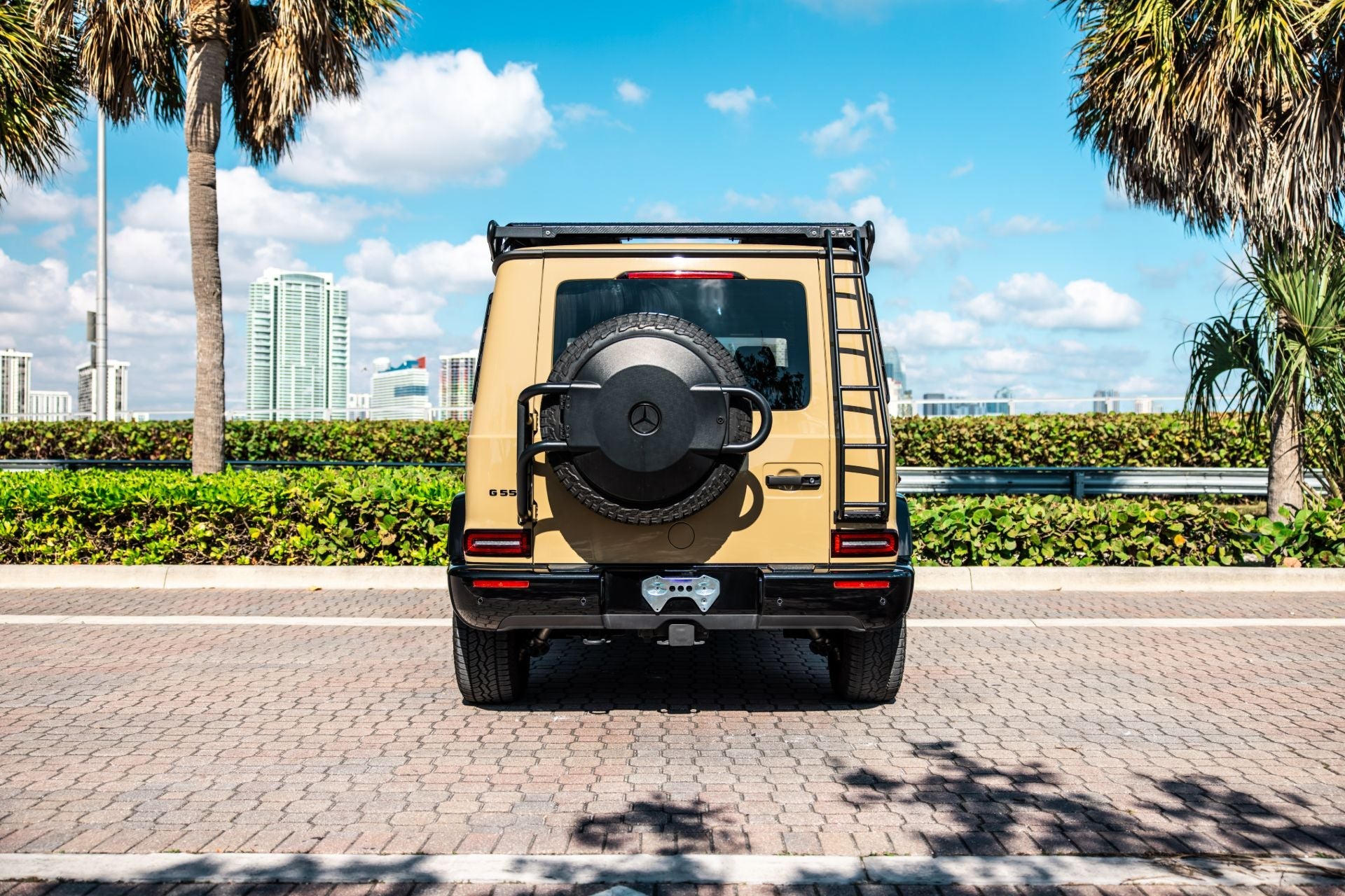 Mercedes G - Wagon Professional Package - Ark Exotics