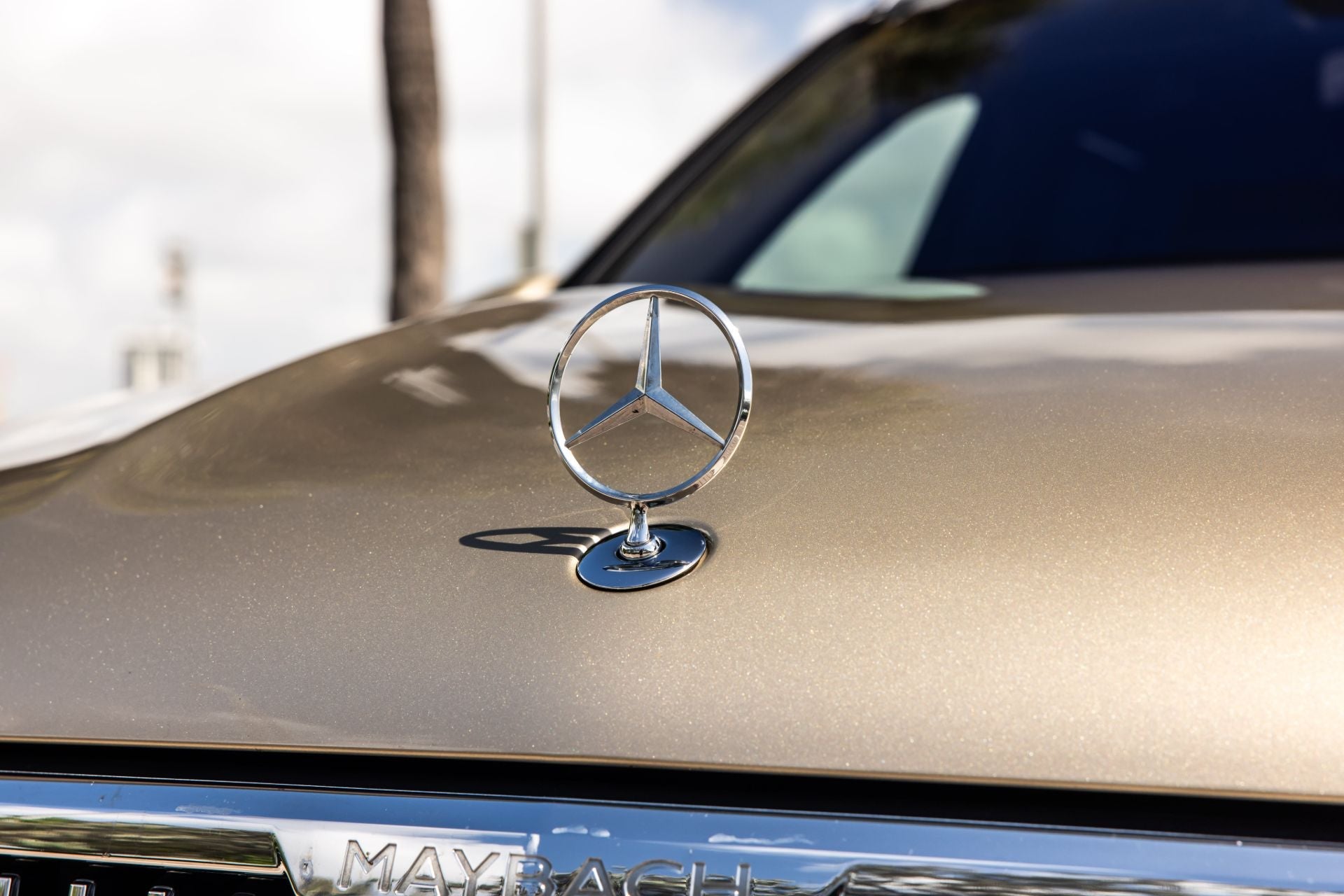 Mercedes GLS 600 Maybach - Ark Exotics